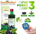 Ramoshdhee Karela Jamun Neem Juice Promotes Healthy Glu...