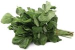 100-amaranthus-green-un-branded-whole-no-original-imaftauyjbggtcvs.jpeg