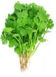 Namdhari's FRESH Coriander Leaves