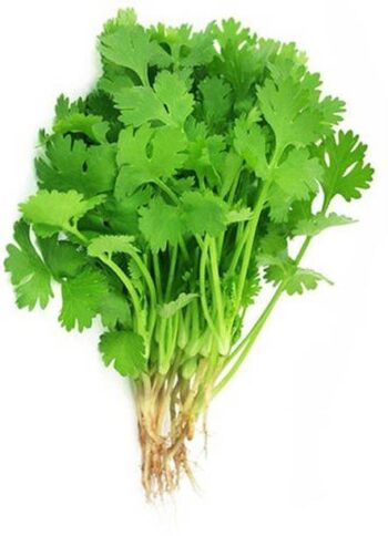 Namdhari's FRESH Coriander Leaves