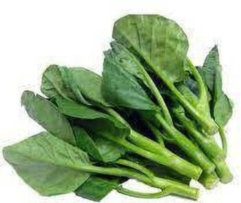 Malabar Spinach
