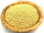 SS520 Yellow Mustard Seed (PILI Sarso)