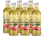 JIVO Ayurvedic Wheatgrass Natural Apple Juice Immunity ...
