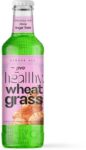 1200-healthy-wheatgrass-sugar-free-ginger-ale-juice-immunity-original-imah7tq5aqubyhxp.jpeg