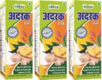 1500-ginger-juice-500ml-plastic-bottle-3-sansu-original-imah3qwfhukyphzh.jpeg