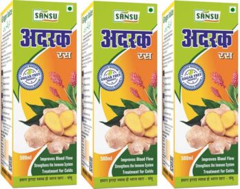 Sansu Ginger Juice 500ml
