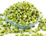 Sprouts Green Gram Peeled