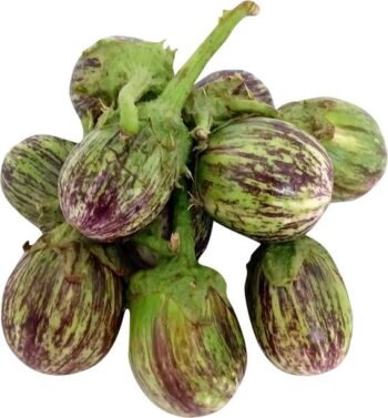 Brinjal Varikatri