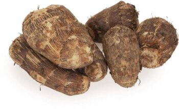 Colocasia
