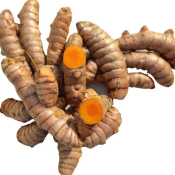 We Care Eco Products resh Organic Turmeric Roots | Kach...