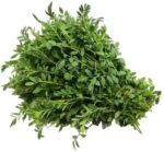 Green Chana Saag Leafy150