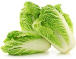 Cabbage Chinese