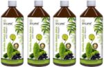 SYLVAN AYURVEDA Sylvan Karela Jamun Neem Juice - 4L - P...