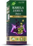 500-karela-jamun-juice-i-for-healthy-blood-sugar-i-500ml-plastic-original-imahygbdzf5yhshz.jpeg