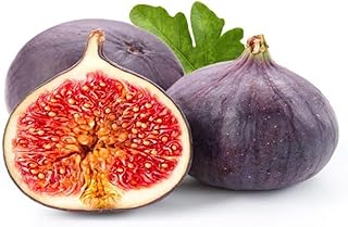Fresh Fig, 8Pcs