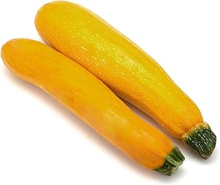 Fresh Zucchini Yellow Pack of 2 (Aprrox 300-400gm)