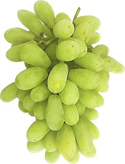 Fresh Grapes Sonaka Seedless, 500 g
