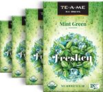 TE-A-ME Ice Mint Green Tea - 72 Tea Bags | Iced Green T...