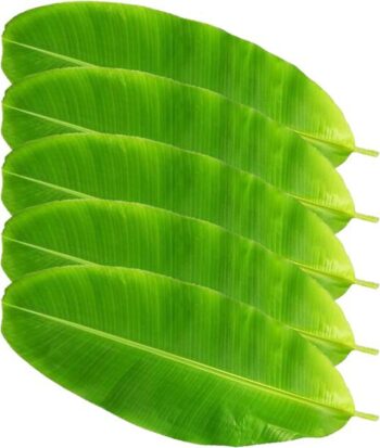 Banana Leaf
