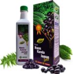 Ekjot Neem Karela Jamun Juice - For Maintaining Blood S...