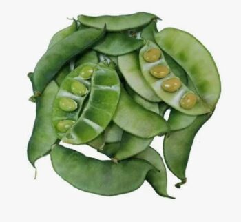 Beans Avare