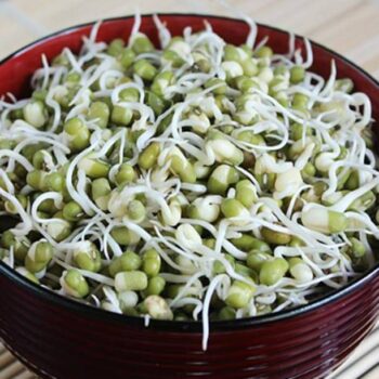 Urban Harvest Moong Sprouts Peeled