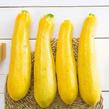 Zucchini - Yellow