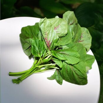 Amaranthus - Green Leafy