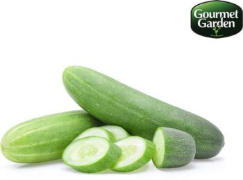 Organic Cucumber Indian