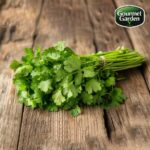 Organic Coriander (without roots)