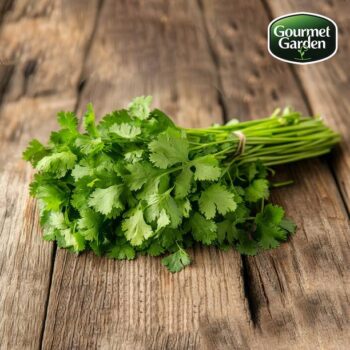 Organic Coriander (without roots)