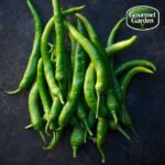 Organic Green Chilli