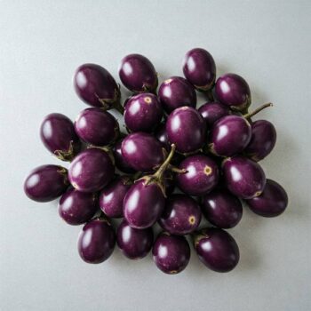 Brinjal Nagpur