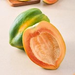 Papaya - Medium