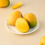 Mango - Neelam