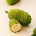 Tender Jackfruit