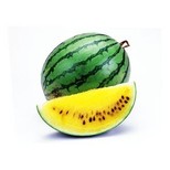 Watermelon - Crimson Yellow