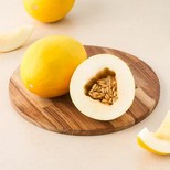 Sun Melon