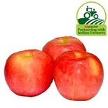 Apple Fuji - Economy