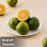 Orange - Nagpur, Small