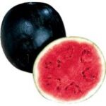 Watermelon - Crimson Red