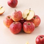 Apple Shimla, Small