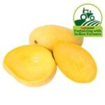 Mango Banganapalli - Premium, Rich In Vitamin C, Sweet & Fleshy