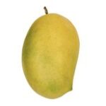 Mango - Jardalu