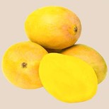 Mango - Alphonso/Ratnagiri