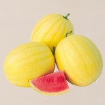 Watermelon - Vishal, Yellow Skin