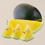 Watermelon - Arohi, Yellow Flesh